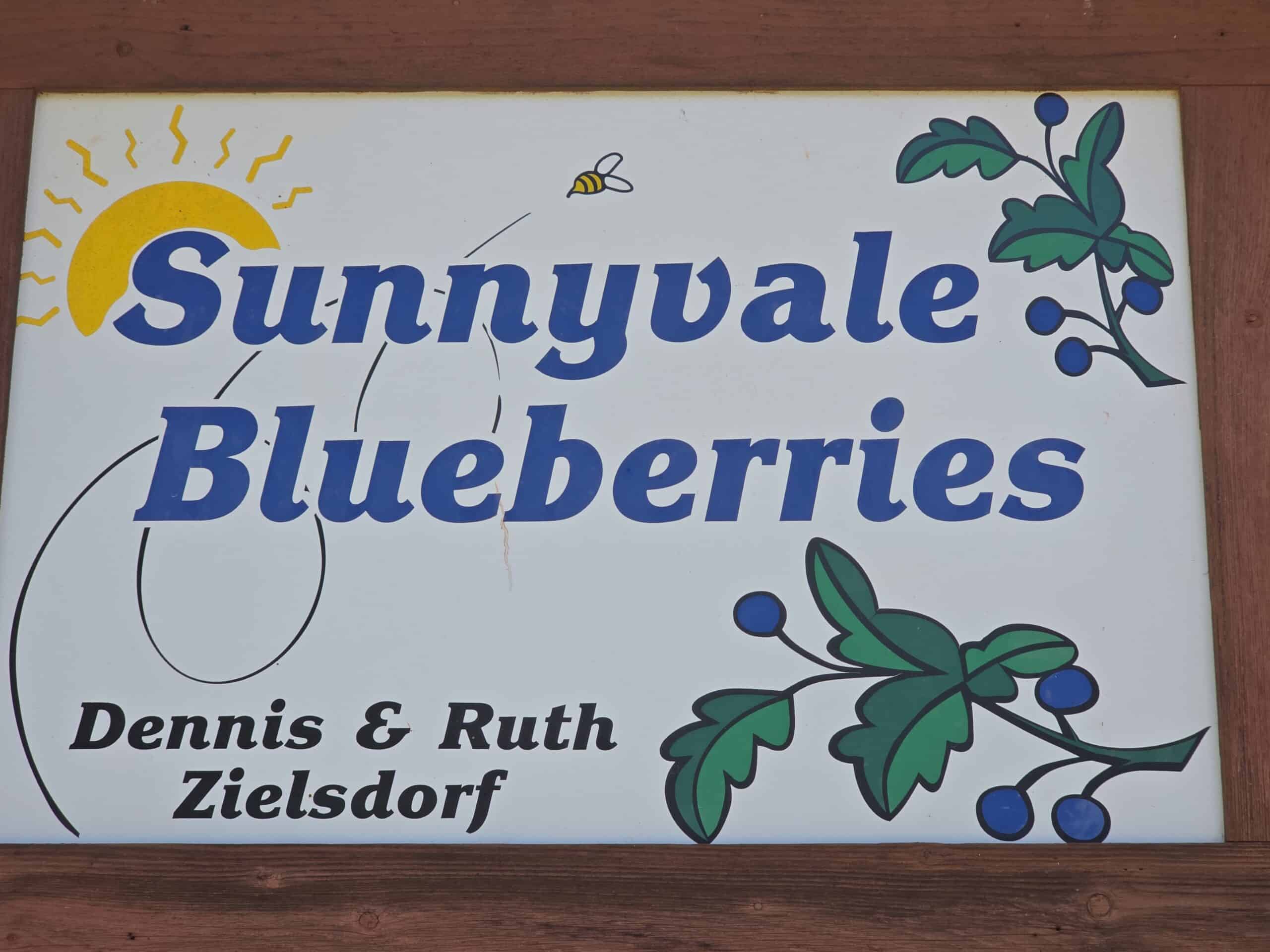 Sunnyvale Blueberries | Pick-Your-Own Blueberries