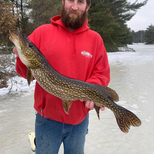 32-inch-pike