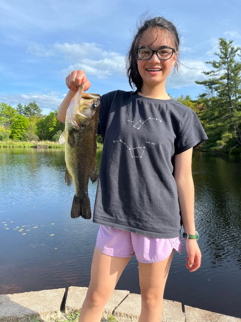 5-30-25-17-inch-bass