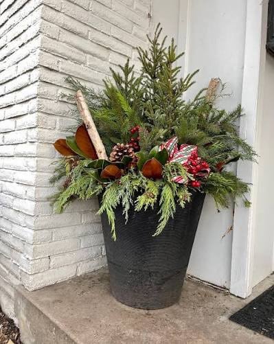 561374323_122192704172327968_2458699229967322855_n