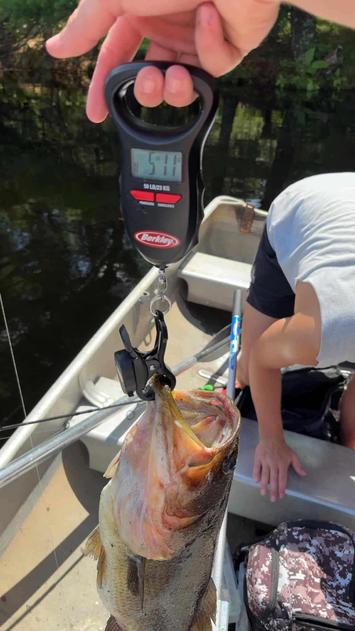 7-18-25-5-lb-11-oz-large-mouth-bass-weighed