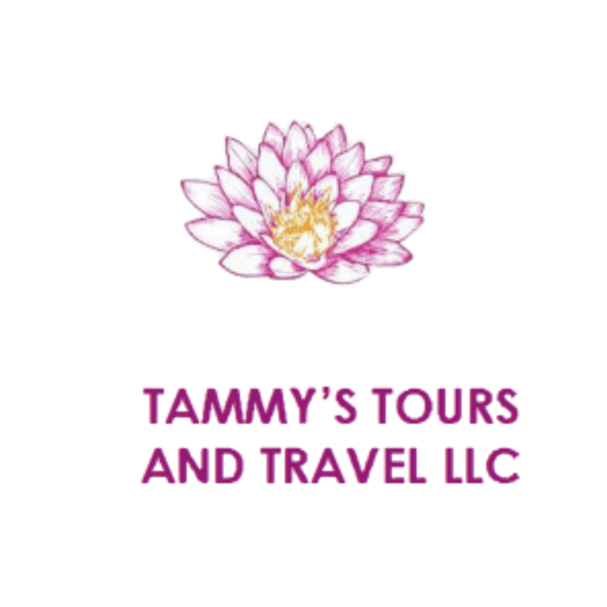 Tammy’s Tours and Travel LLC