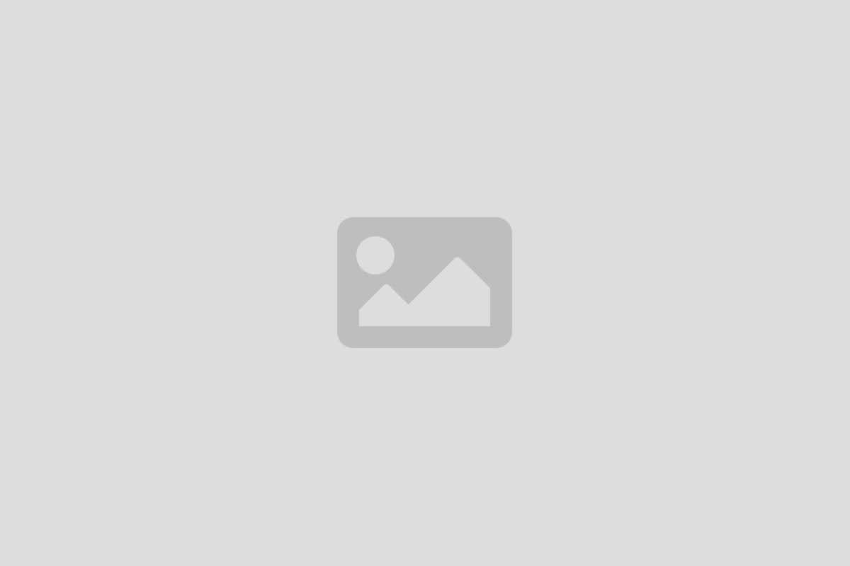 placeholder image 1 - Black River Area Chamber of Commerce