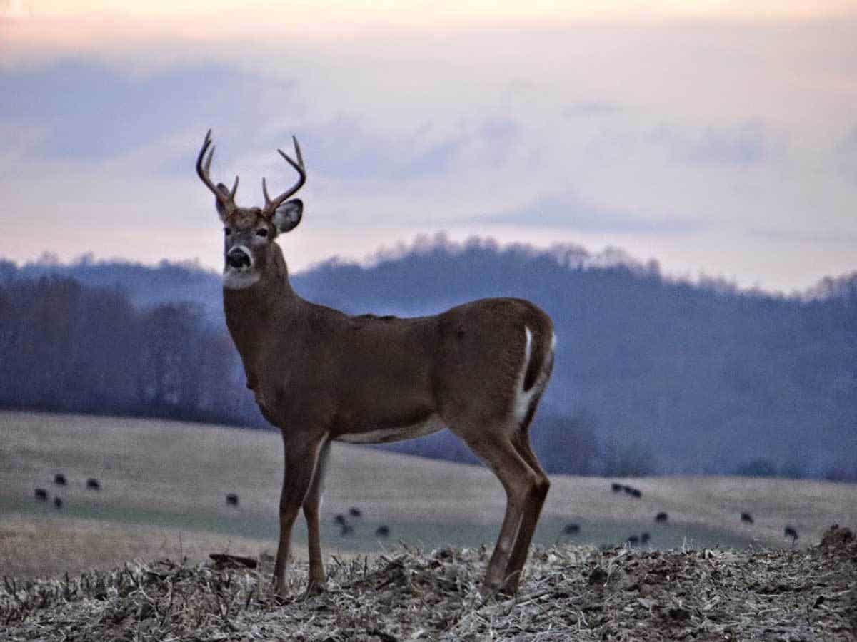 Hunting in Black River Falls, WI Black River Country